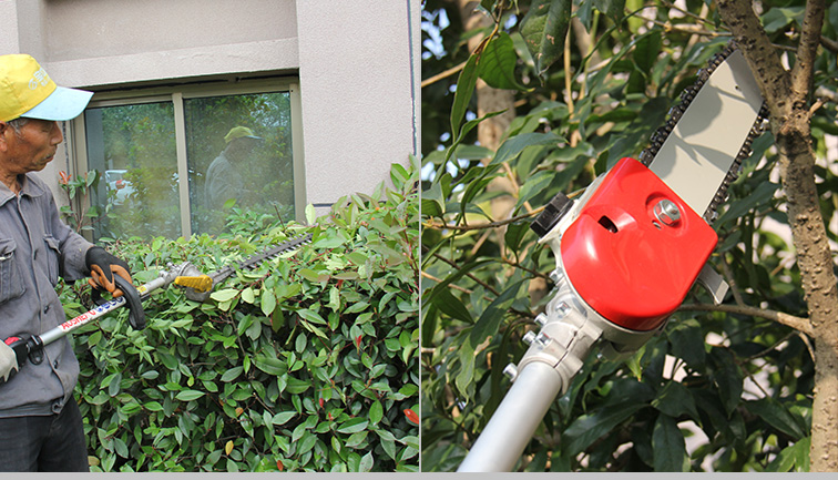 Milyen szerszámvágási képességek vannak a kert karbantartásában?